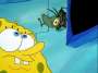 Plankton
