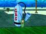 Plankton