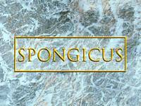 Spongicus  -  Le grand tournoi des gladiateurs