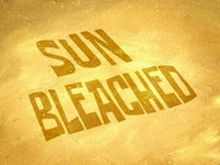 Sun Bleached  -  La peau décolorée